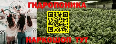 сатива Свободный
