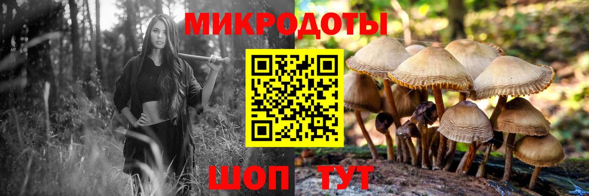 Серпухов  Галлюциногенные грибы ЛСД  Вход с VPN 